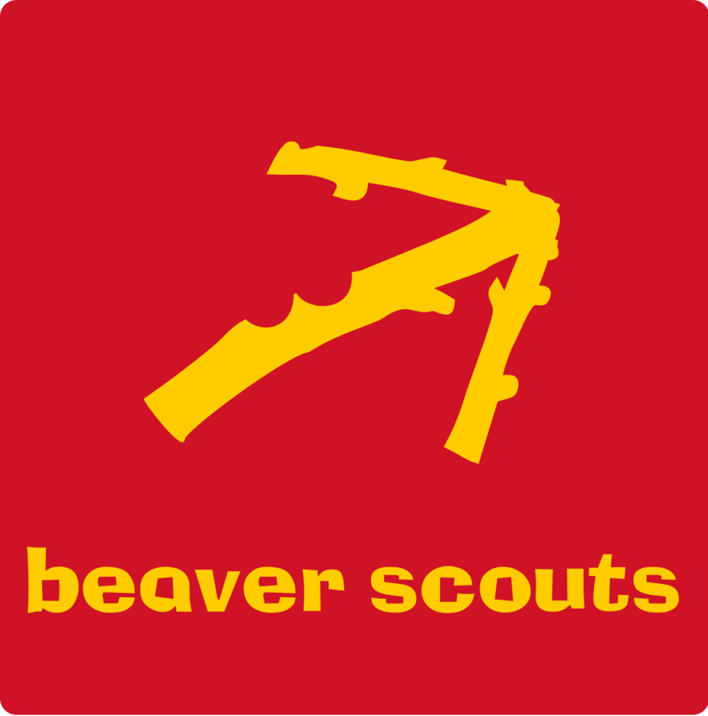 Beaver Scouts