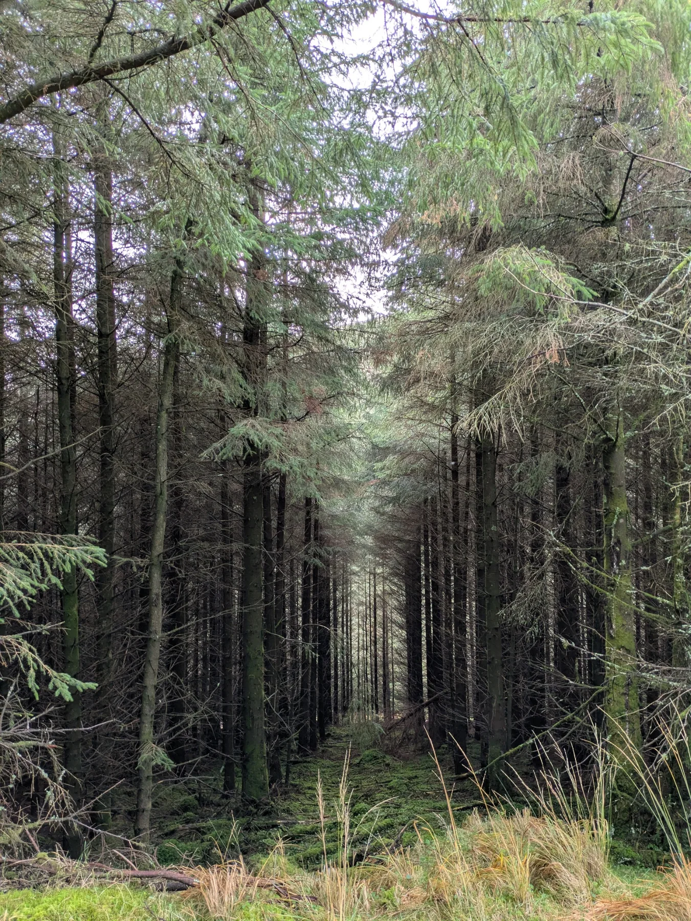 49th Cork activity photograph